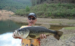 Nice 6lb 14oz. Bass from Portugal