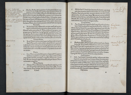 Annotations in Calderinus, Domitius: Commentarii in Martialem