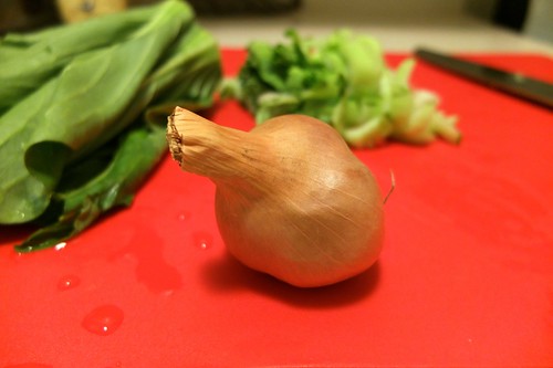 little onion
