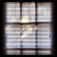#window #sunlight #morning