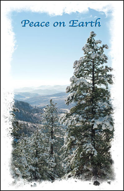 classic natural beauty of a Colorado Rocky Mountain winter with a distant view of blue mountains seen through a picture frame of a snowy pine forest