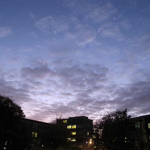 Twilight on campus