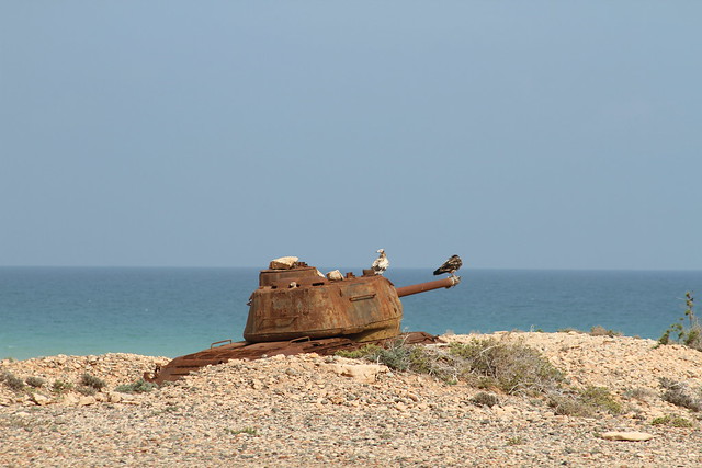 Army-Socotra Island5