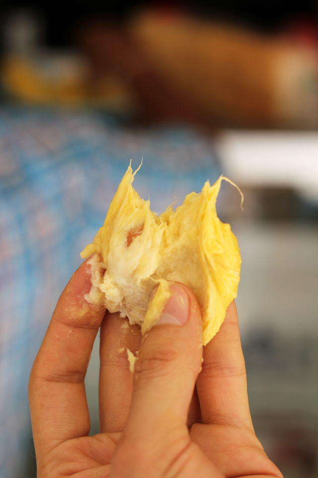 I just took a bite of an extremely custardy delicious durian!