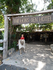 Lions Den Hotel, Road back to Palmer Nov 14