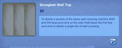 Grungiest Wall Top