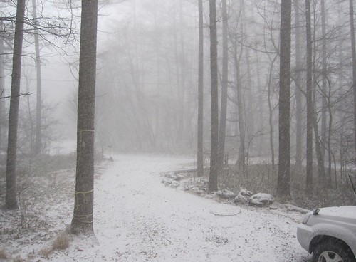 朝の吹雪　2012年12月１日10:39 by Poran111
