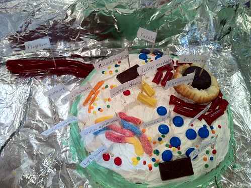Alexander's Cake Model of the Cell (narrated food) – Learning Signs