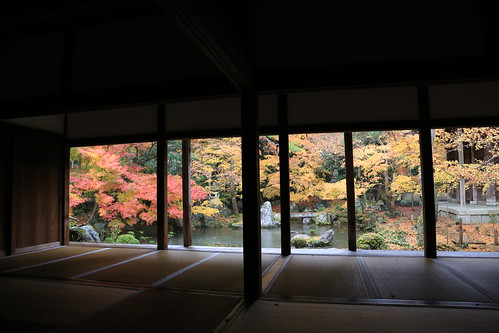 Autumn Renge-ji 蓮華寺