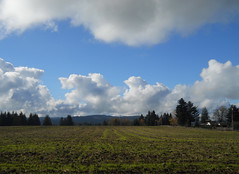 Looking west in the general direction of Highland Butte