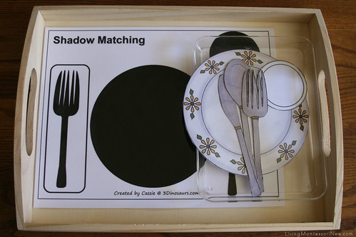 Shadow Matching Table Setting Tray