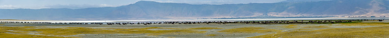Ngorongoro waterhole
