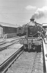 Sussex Coast Limited Rail Tour 24 June 1962