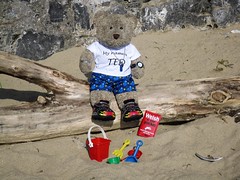 TED DOES WEST WALES