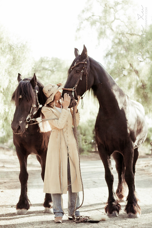 Gigi and her horses