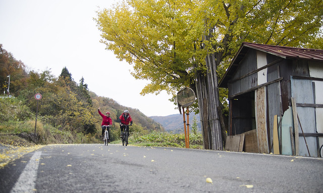 Iiyama Autumn Bike