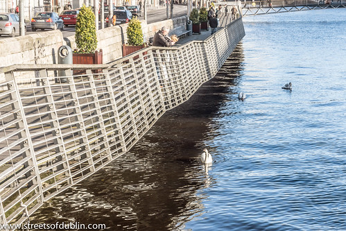 Liffey Boardwalk - Dublin (Feeding The Swans) by infomatique