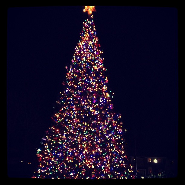 Caroling with my book club tonight and this pretty tree was in front of the firehouse!