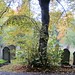 Autumn in Brockley Cemetery 10
