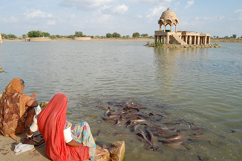 Jaisalmer-lago Gadsisar_0229