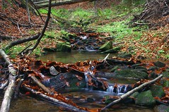 Cirosok Creek