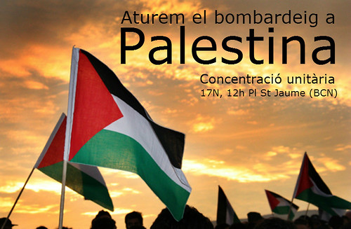 concentracio en slidaritat amb palestina 17 novembre 2012