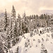 Snowshoeing Cypress