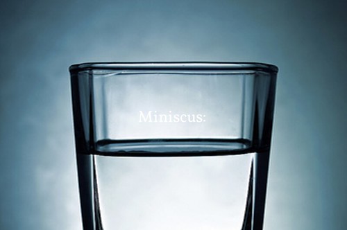 Miniscus