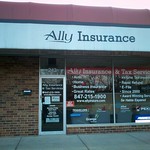 Ally Insurance & Tax Services