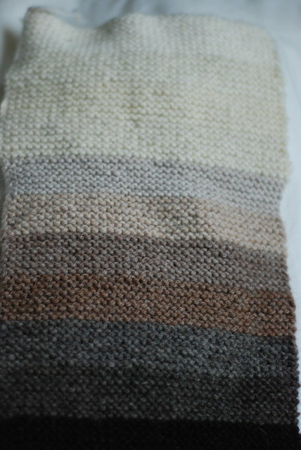 Naturally coloured wool and alpaca yarns gradient progression stripes