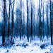 _||_blue_||||_snow_|||