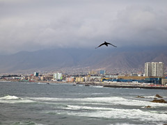 Chile 2012