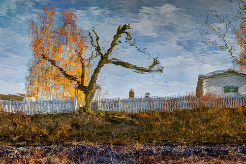 Upside Down Reflection / Reflet inversé by guysamsonphoto