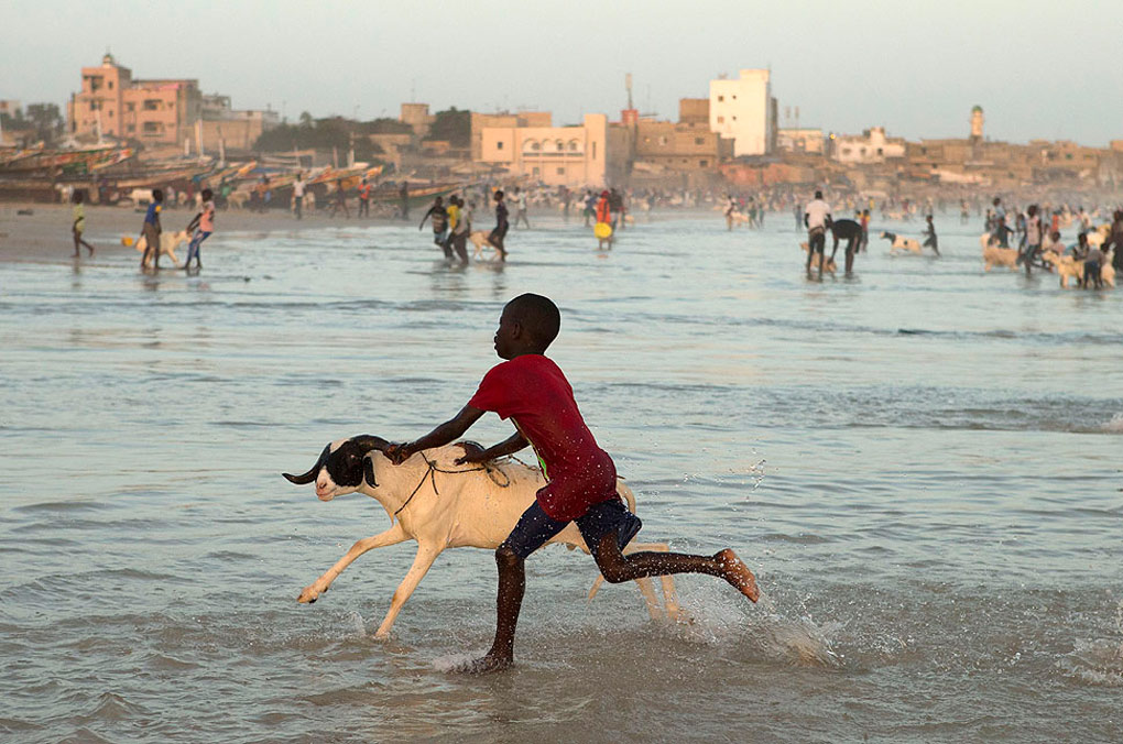 APphoto_Senegal Eid al Adha