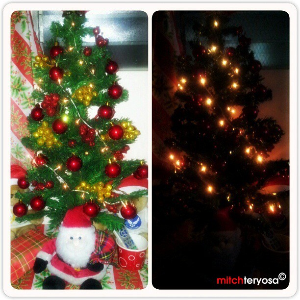 Lil Christmas Tree
