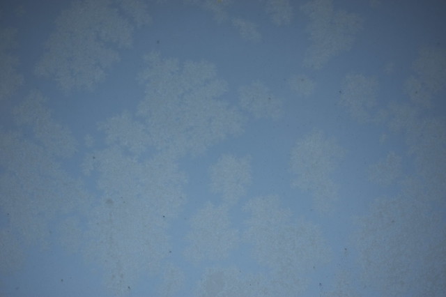 LDP 2012.12.01 - Frosty Window