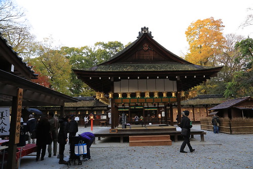 Autumn SHIMOGAMO-JINJA 下鴨神社