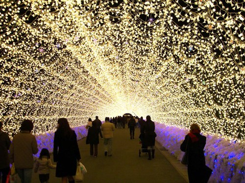 Необычные LED-цветы освещают целую сотню метров тоннеля, приводя в восторг местных жителей и туристов