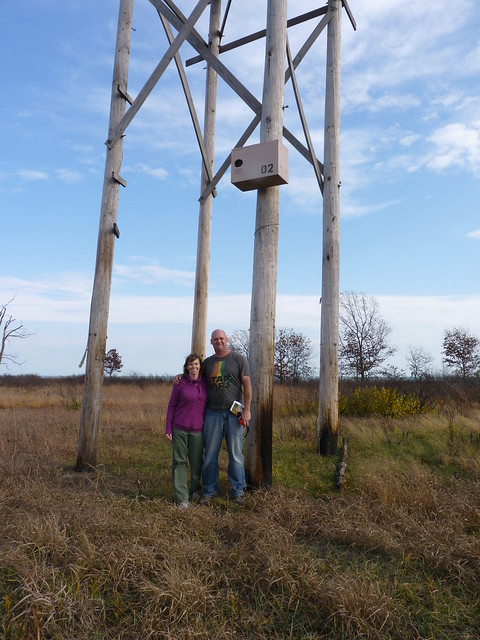 Barn Owl Box at IBSP Lake County