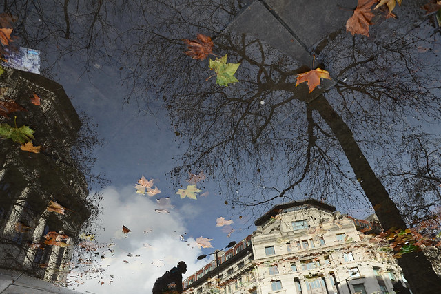 Reflection on Autumn - 35 Fantastic Color Street Photographs