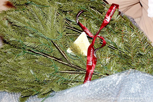 christmas tree // 2012