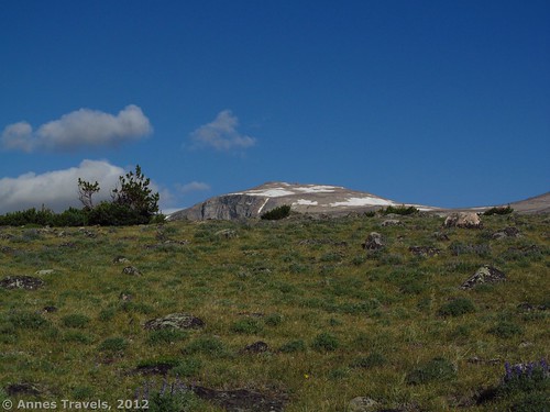 Mount Rearguard peaks up over the tundra, Hellroaring Plateau, Custer National Forest, Montana