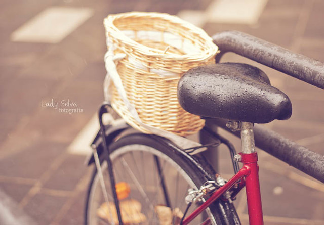 Quiero una bici con cestita!