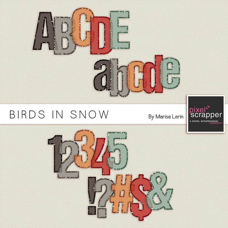 Birds in Snow Alpha Kit