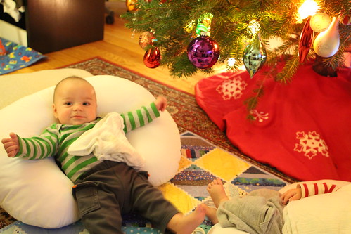 Elliott Wide Awake Under Christmas Tree