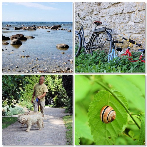 Visby images