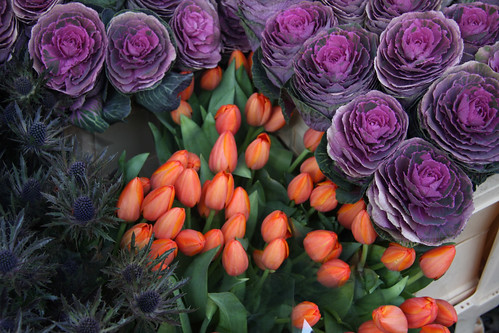 cabbages, tulips and thistles