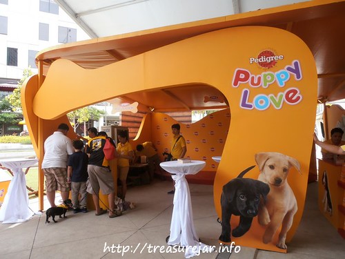 NatGeo Channel Doggy Day Camp