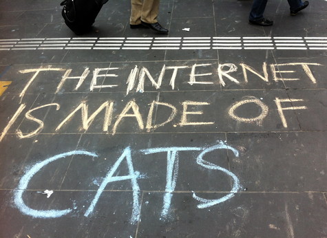 The internet is made of cats