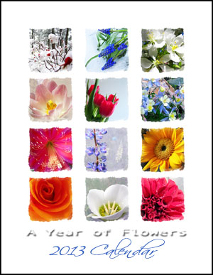 A Year of Flowers 2013 Desk Calendar